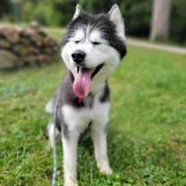 Thumbnail photo of Leya #3