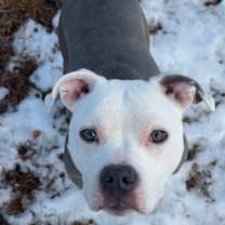 Thumbnail photo of Zoe #1