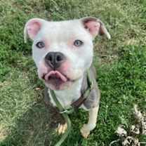 Thumbnail photo of Zoe #3