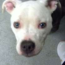 Thumbnail photo of Zoe #4