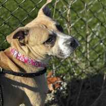 Thumbnail photo of Elara/hw+ #2