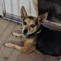 Thumbnail photo of Austin #1