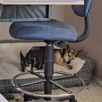 Thumbnail photo of Austin #2