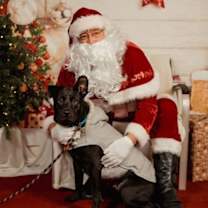 Thumbnail photo of Shadow #2