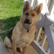 Thumbnail photo of Elsa #1