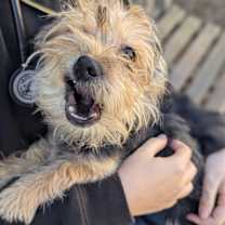 Thumbnail photo of Austin #4