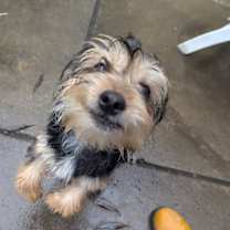 Thumbnail photo of Luke #2