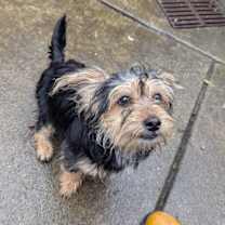 Thumbnail photo of Luke #3