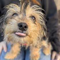 Thumbnail photo of Luke #4