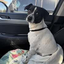 Thumbnail photo of Bonnie Pea Pod #1