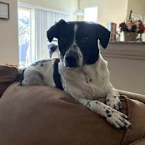 Thumbnail photo of Bonnie Pea Pod #2