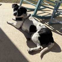 Thumbnail photo of Bonnie Pea Pod #3