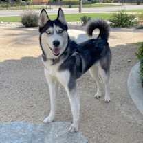 Thumbnail photo of Noelle #1