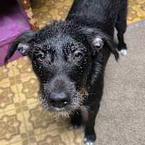 Thumbnail photo of Beena #2