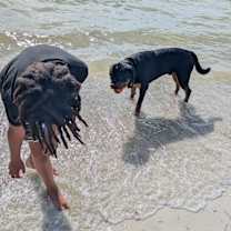 Thumbnail photo of Jazz #4