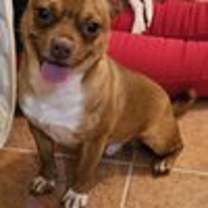 Thumbnail photo of HERCULES-TONS OF FUN #1