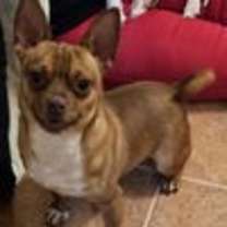 Thumbnail photo of HERCULES-TONS OF FUN #2