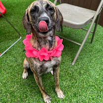 Thumbnail photo of Cindy #1