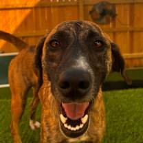 Thumbnail photo of Cindy #2