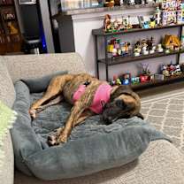 Thumbnail photo of Cindy #4