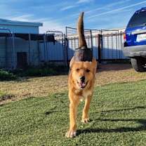 Thumbnail photo of Lola #2