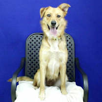 Thumbnail photo of Lola #4