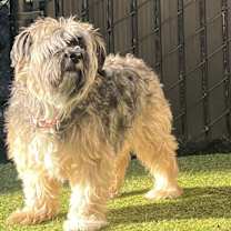 Thumbnail photo of Nikki #1