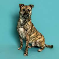 Thumbnail photo of J.R. #1