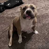 Thumbnail photo of Lucky #4