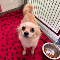 Thumbnail photo of Princess #1