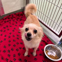 Thumbnail photo of Princess #2