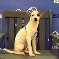 Thumbnail photo of ARTHUR #1