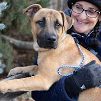 Thumbnail photo of BLUE #3