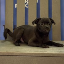 Thumbnail photo of RAZZLE #3