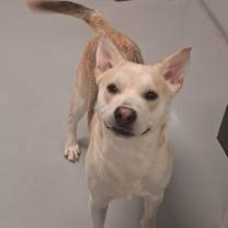 Thumbnail photo of Jackson #2