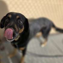 Thumbnail photo of Selig #2