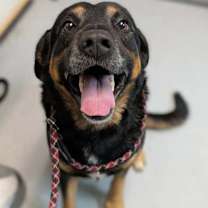 Thumbnail photo of Selig #4