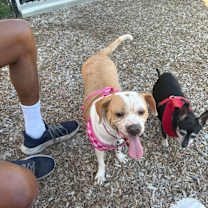 Thumbnail photo of Angel #4