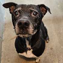 Thumbnail photo of KEVIN #1