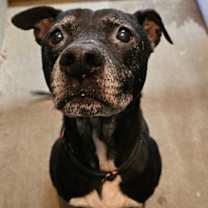 Thumbnail photo of KEVIN #2