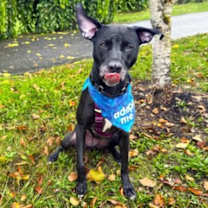 Thumbnail photo of Sookie #2