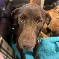 Thumbnail photo of Rigbee #2