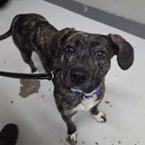 Thumbnail photo of Lucy Lou #1