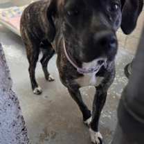 Thumbnail photo of Lucy Lou #2