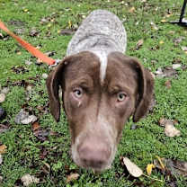 Thumbnail photo of Ebert #2