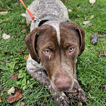 Thumbnail photo of Ebert #3