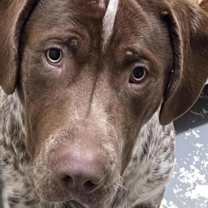 Thumbnail photo of Ebert #4