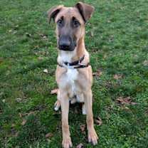 Thumbnail photo of Buckley #3