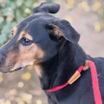 Thumbnail photo of Max #1