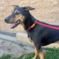 Thumbnail photo of Max #2